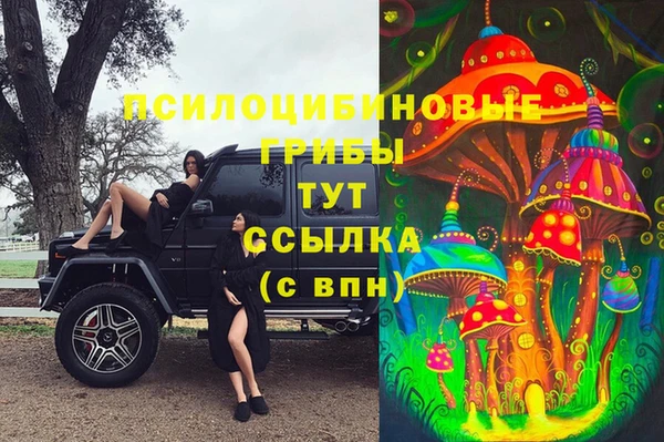 a pvp Медвежьегорск