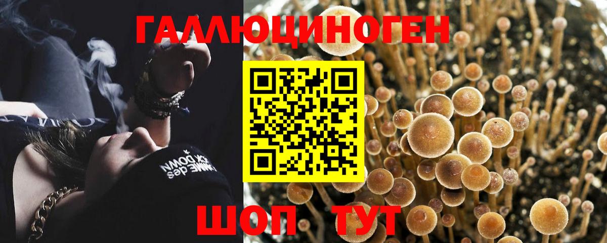 Галлюциногенные грибы Psilocybine cubensis  Вход с VPN  Арзамас 