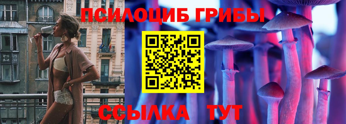 Псилоцибиновые грибы Cubensis Арзамас